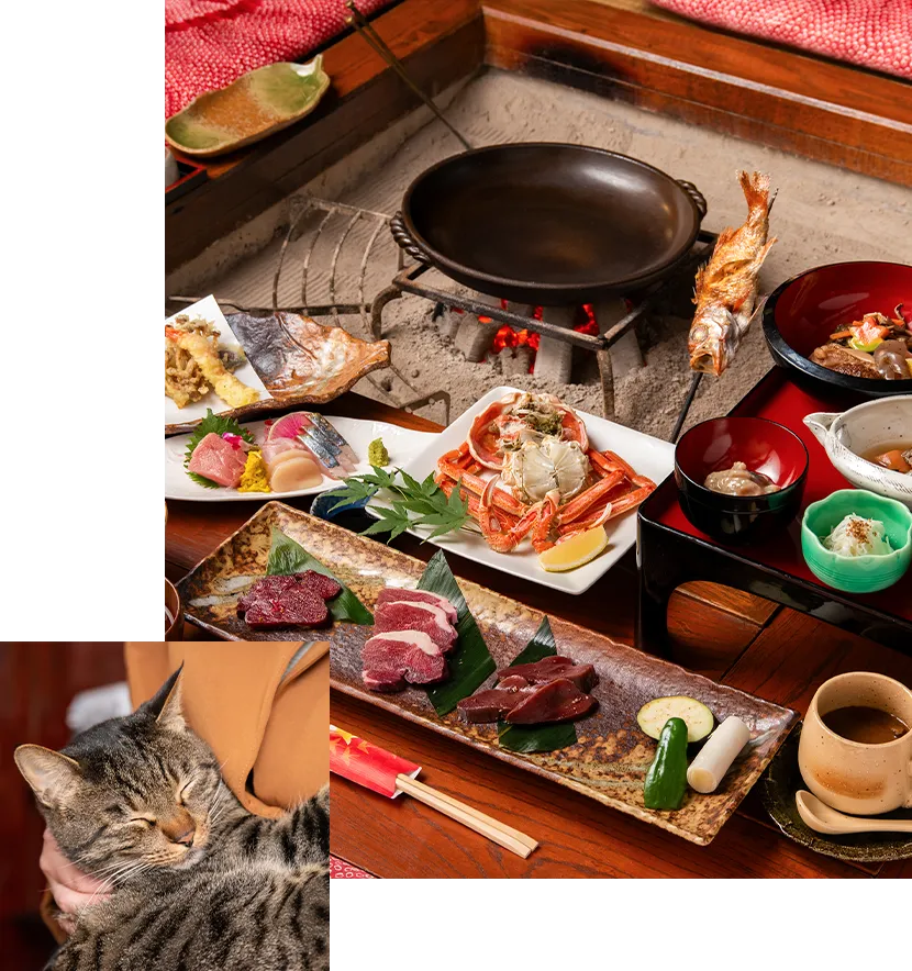 清津峡温泉 いろりとほたるの宿せとぐち